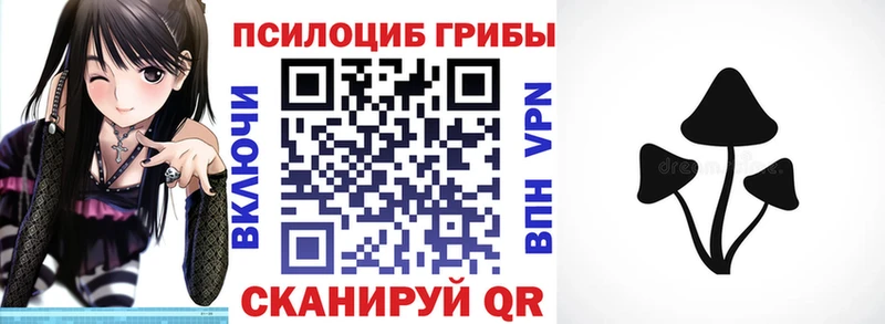 блэк спрут зеркало  продажа наркотиков  Лебедянь  Псилоцибиновые грибы MAGIC MUSHROOMS 